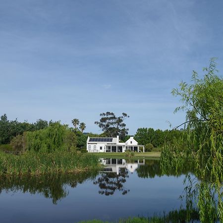 Sanddrif Stellenbosch Guest Farm 외부 사진