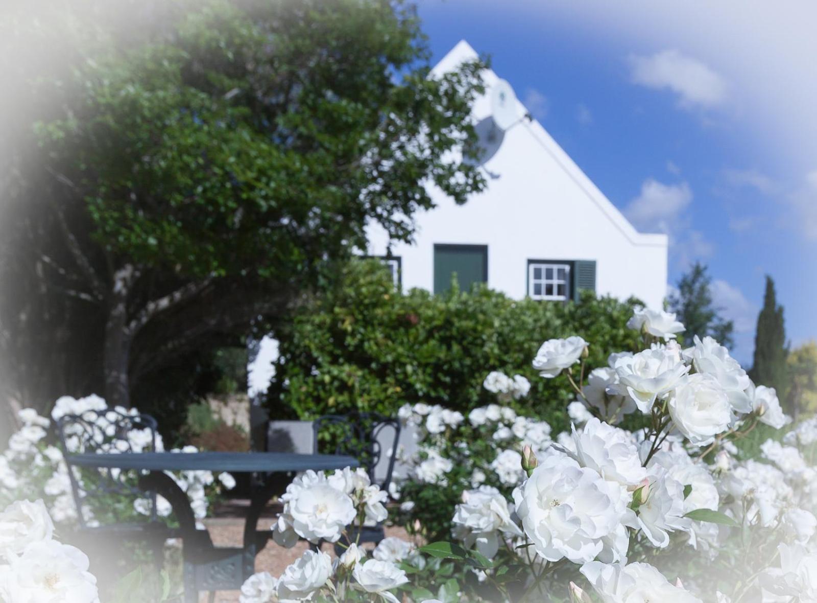 Sanddrif Stellenbosch Guest Farm 외부 사진