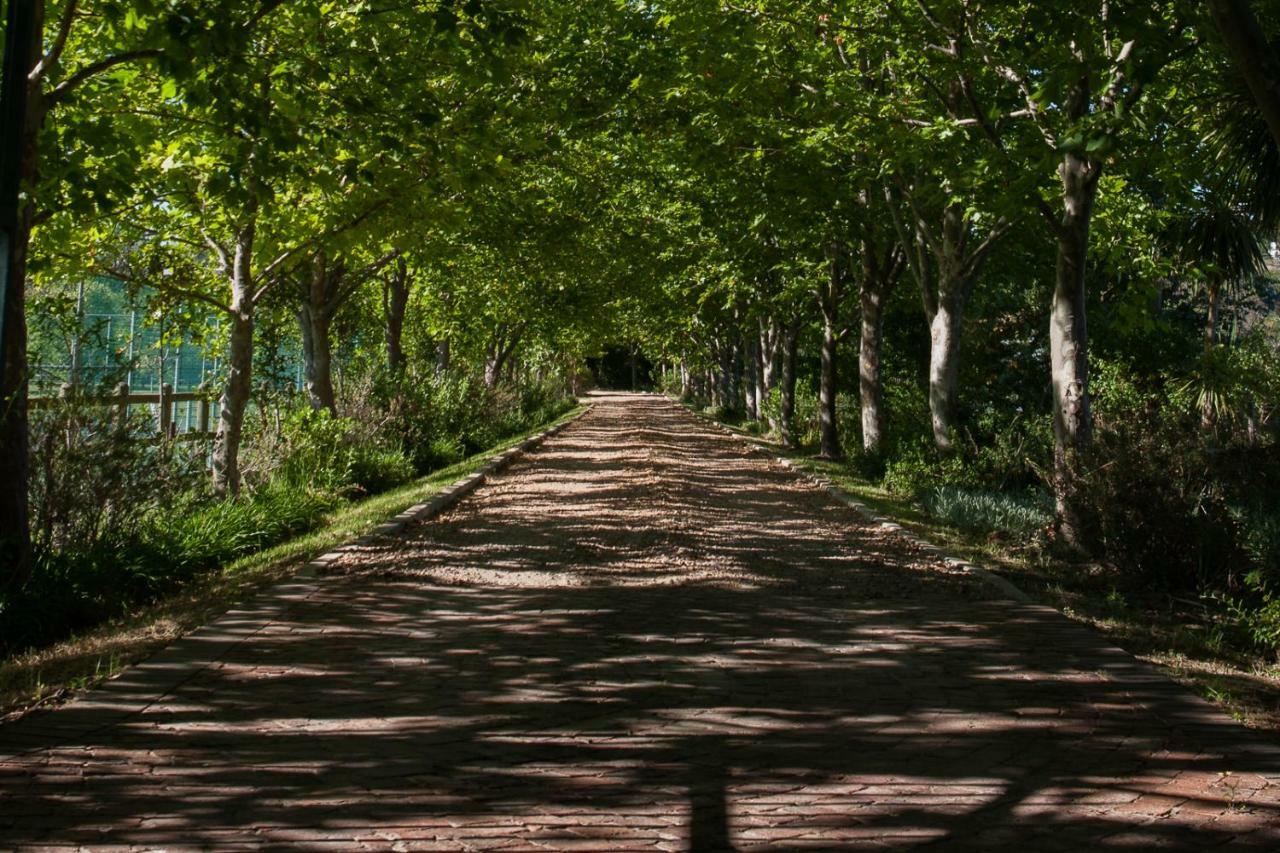Sanddrif Stellenbosch Guest Farm 외부 사진